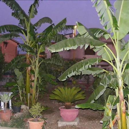 Terra Del Sole San Leone